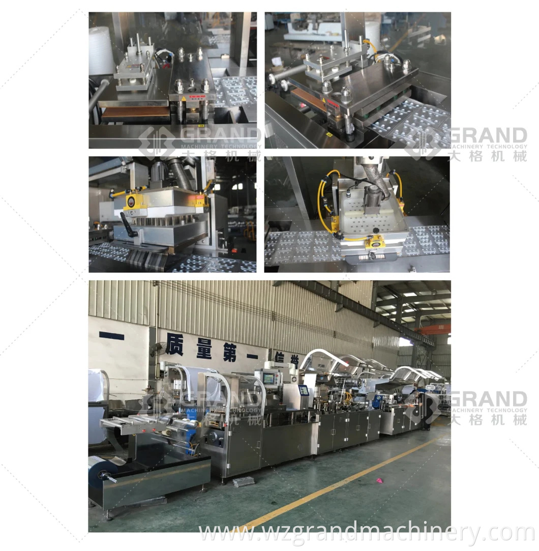 Automatic Small Dose Liquid Foundation Cosmetic Sample Fluid Filling Sealing Blister Packing Packaging Machine Dpp-260